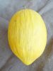 MELON jaune Canari Pqt  25 g