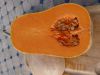 COURGE musque BUTTERNUT Pqt  25 g