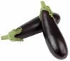 AUBERGINE violette de Barbentane Pqt 100 g