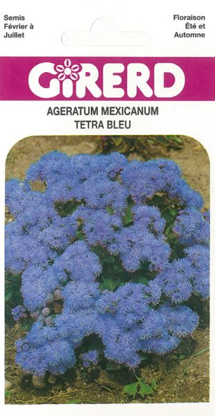 Ageratum Tetra Blue Mink bleu vif Pqt  25 g